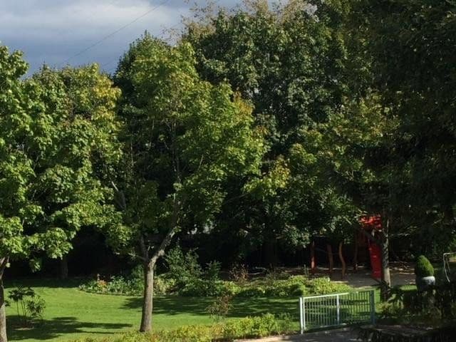 Predaj bytu 3-izbový 71 m², Dresden, Sasko Predaj bytu 3-izbový 71 m², Dresden, Sasko