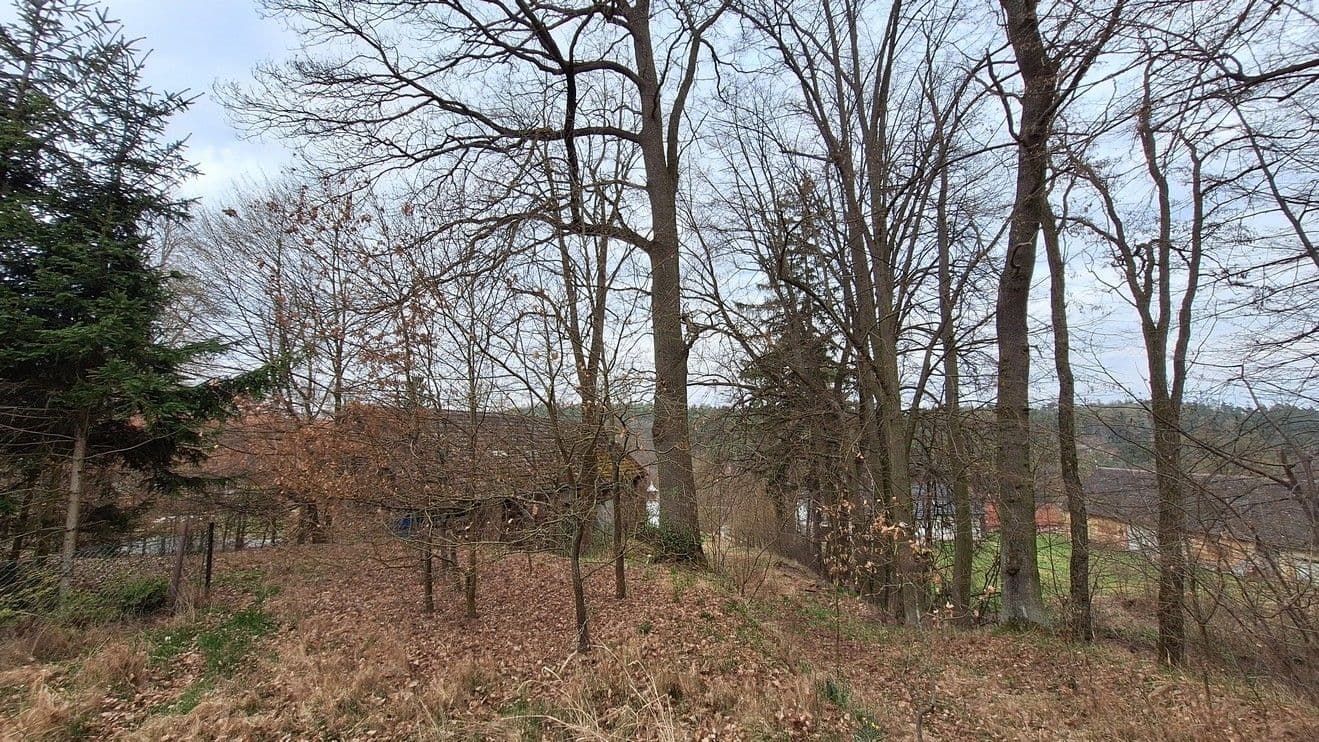 Predaj pozemku 2.865 m², Vlašim, Středočeský kraj Predaj pozemku 2.865 m², Vlašim, Středočeský kraj