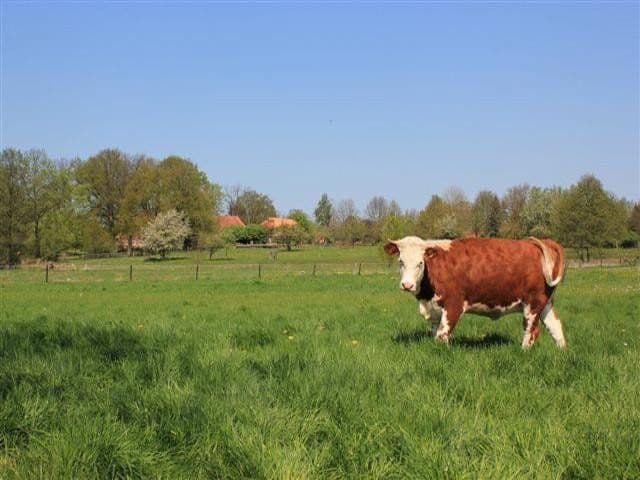 Prenájom bytu 2-izbový 68 m², Niendorfer Weg 12, Altenmedingen, Dolné Sasko Prenájom bytu 2-izbový 68 m², Niendorfer Weg 12, Altenmedingen, Dolné Sasko