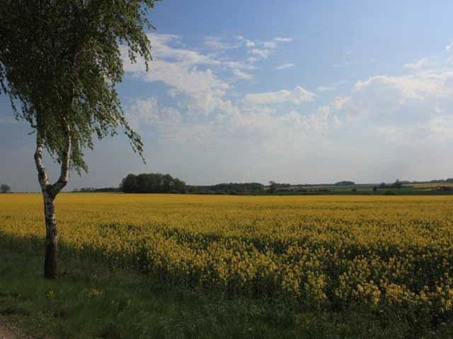 Prenájom bytu 2-izbový 68 m², Niendorfer Weg 12, Altenmedingen, Dolné Sasko Prenájom bytu 2-izbový 68 m², Niendorfer Weg 12, Altenmedingen, Dolné Sasko