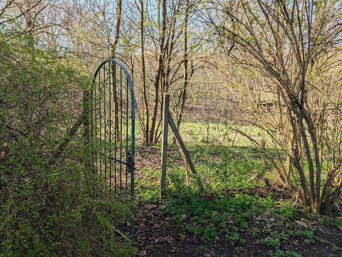 Predaj domu 133 m², pozemek 850 m², Silker Weiche 7, Reinbek, Šlezvicko-Holštajnsko Predaj domu 133 m², pozemek 850 m², Silker Weiche 7, Reinbek, Šlezvicko-Holštajnsko