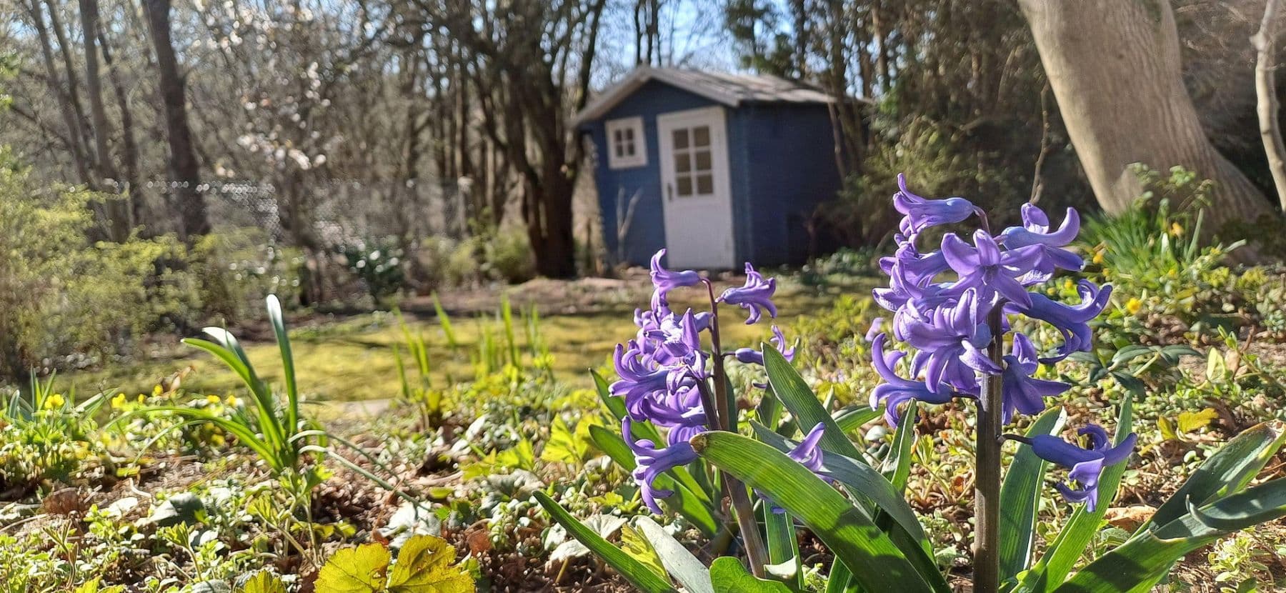 Predaj domu 133 m², pozemek 850 m², Silker Weiche 7, Reinbek, Šlezvicko-Holštajnsko Predaj domu 133 m², pozemek 850 m², Silker Weiche 7, Reinbek, Šlezvicko-Holštajnsko