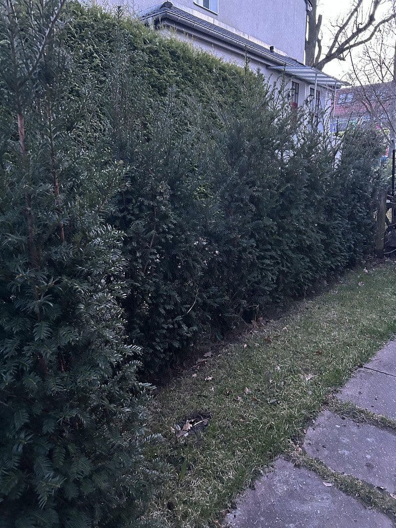 Predaj domu 128 m², pozemek 288 m², Berlin, Berlín Predaj domu 128 m², pozemek 288 m², Berlin, Berlín