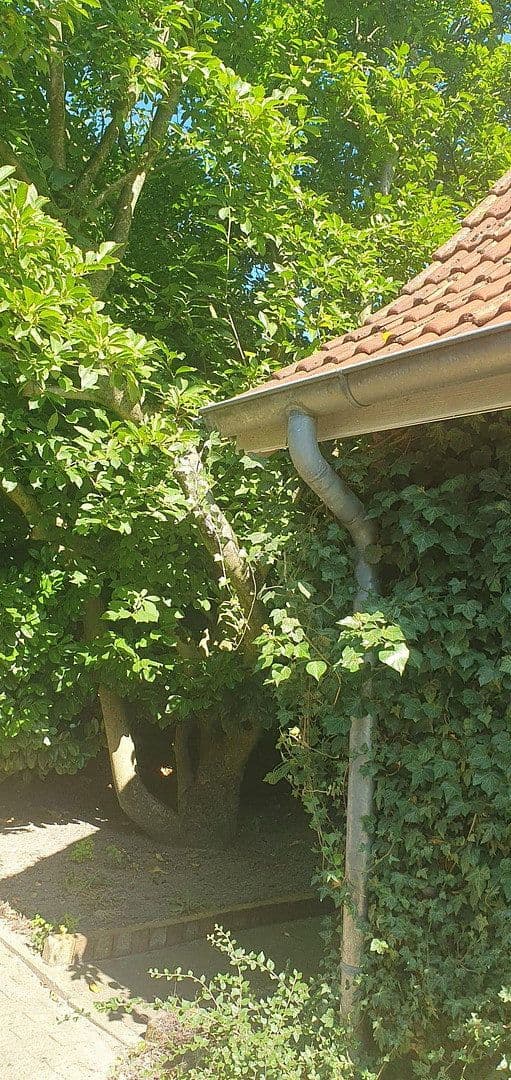 Predaj domu 212 m², pozemek 1.883 m², Quelkhorner Landstraße 3, Ottersberg, Dolné Sasko Predaj domu 212 m², pozemek 1.883 m², Quelkhorner Landstraße 3, Ottersberg, Dolné Sasko