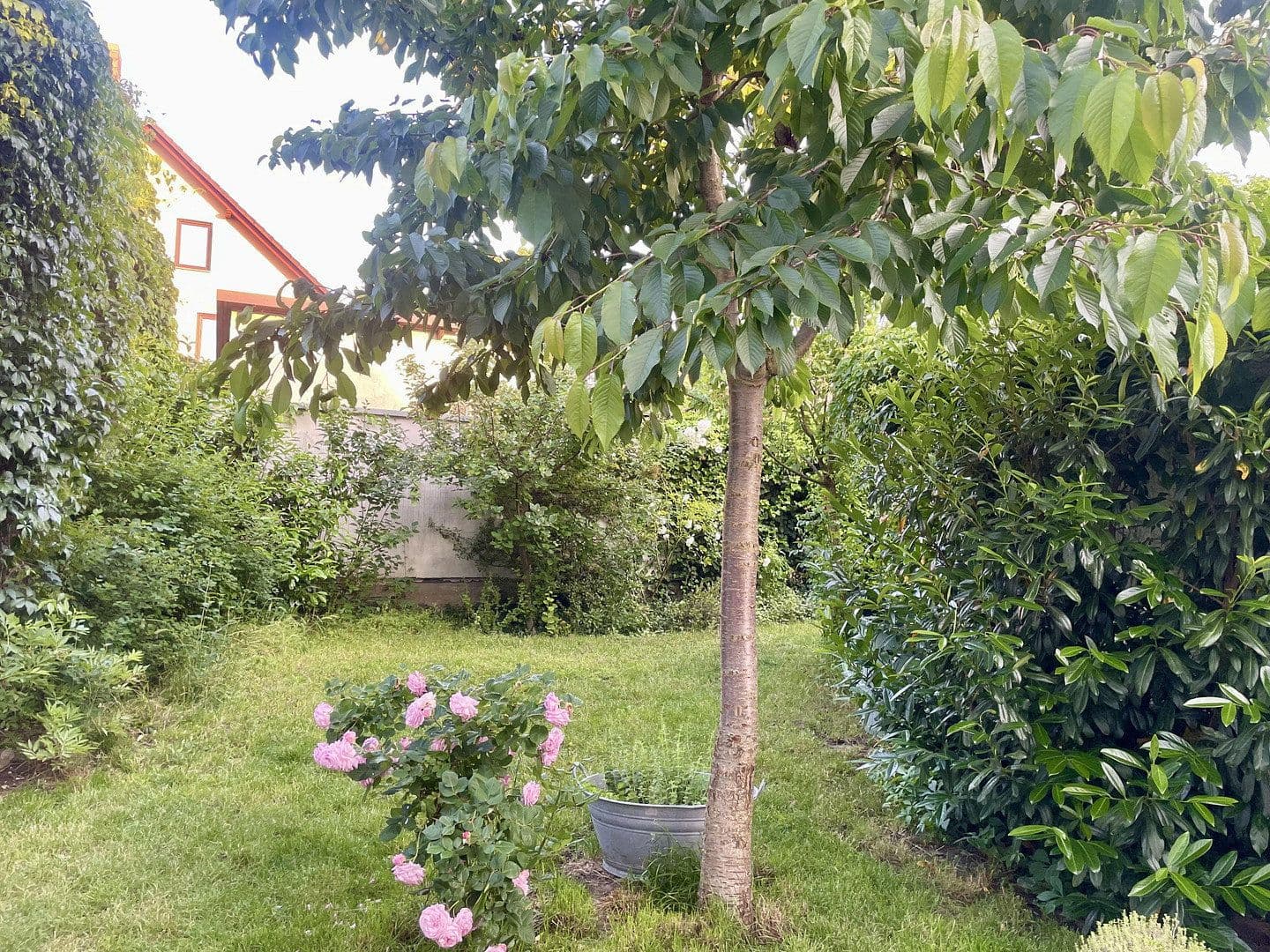 Predaj domu 230 m², pozemek 567 m², Waldsieversdorf, Brandenbursko Predaj domu 230 m², pozemek 567 m², Waldsieversdorf, Brandenbursko