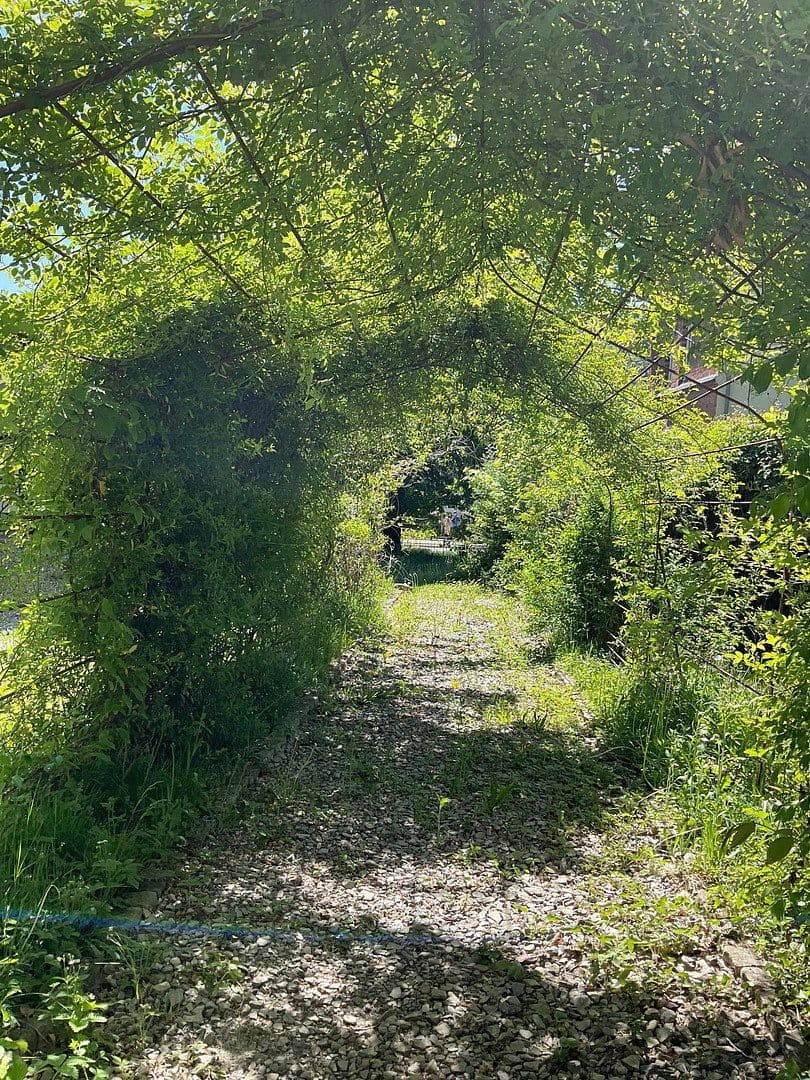 Predaj domu 800 m², pozemek 3.821 m², Bad Karlshafen, Hesensko Predaj domu 800 m², pozemek 3.821 m², Bad Karlshafen, Hesensko