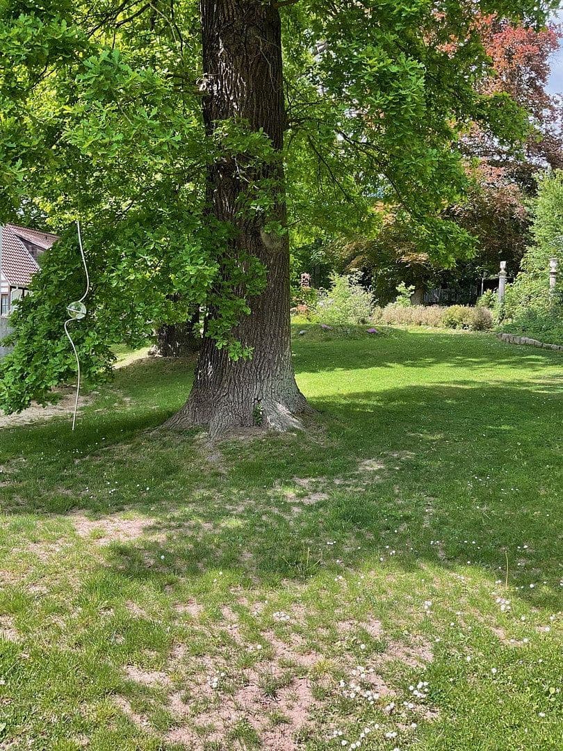 Predaj domu 800 m², pozemek 3.821 m², Bad Karlshafen, Hesensko Predaj domu 800 m², pozemek 3.821 m², Bad Karlshafen, Hesensko