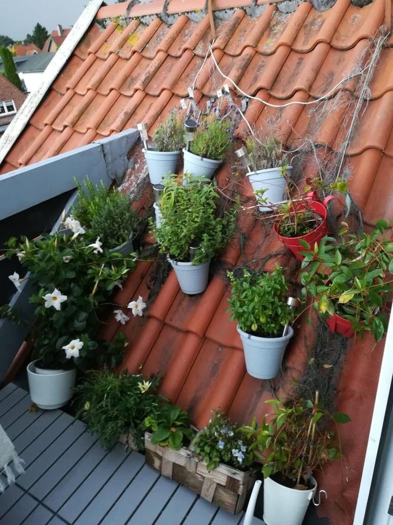 Prenájom bytu 1-izbový 40 m², Lindenstraße 12, Pönitz, Šlezvicko-Holštajnsko Prenájom bytu 1-izbový 40 m², Lindenstraße 12, Pönitz, Šlezvicko-Holštajnsko