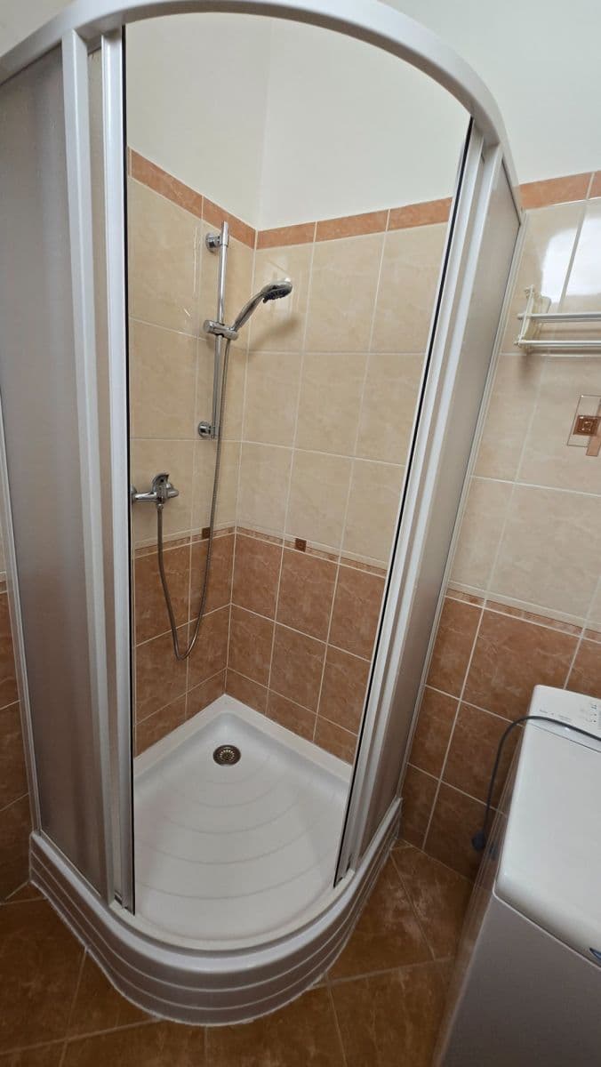 Prenájom bytu 1-izbový 41 m², Vrchlického, Praha, Praha Prenájom bytu 1-izbový 41 m², Vrchlického, Praha, Praha