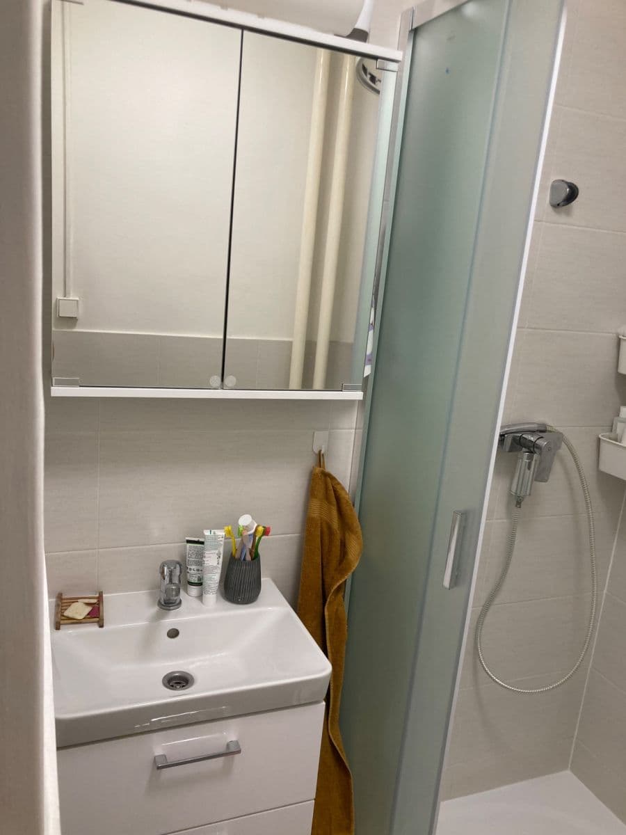 Prenájom bytu 3-izbový 19 m², Hostýnská, Praha, Praha Prenájom bytu 3-izbový 19 m², Hostýnská, Praha, Praha