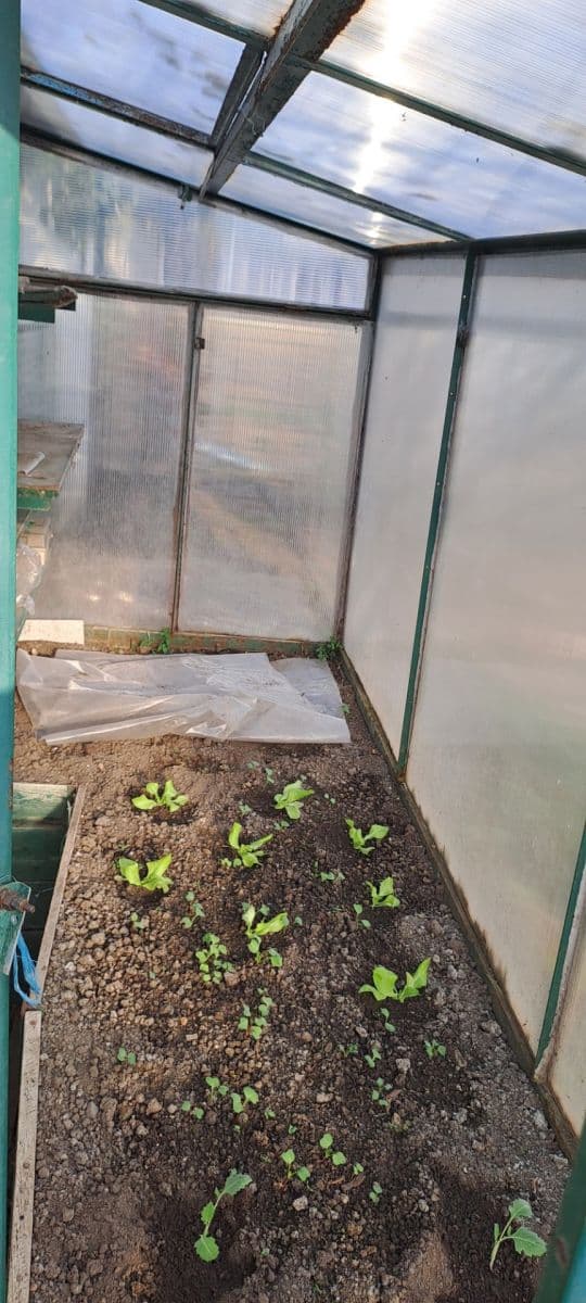 Predaj domu 98 m², pozemek 457 m², Alfonse Muchy, Ivančice, Jihomoravský kraj Predaj domu 98 m², pozemek 457 m², Alfonse Muchy, Ivančice, Jihomoravský kraj