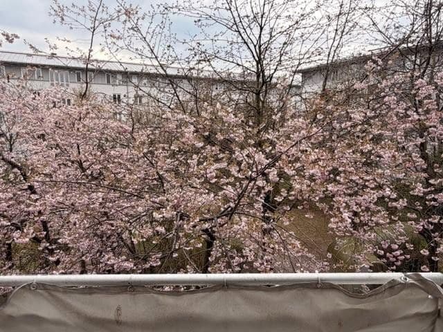 Prenájom bytu 1-izbový 42 m², München, Bavorsko Prenájom bytu 1-izbový 42 m², München, Bavorsko