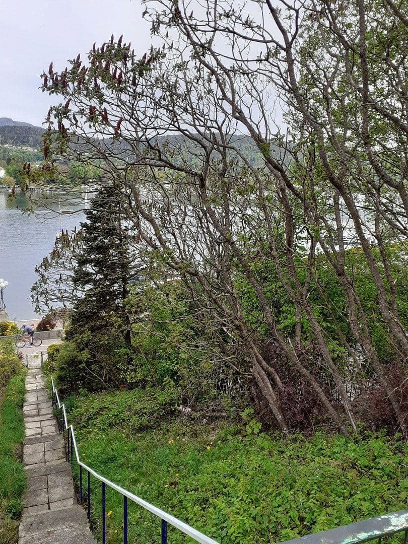 Prenájom domu 53 m², pozemek 150 m², Velden am Wörther See, Korutánsko Prenájom domu 53 m², pozemek 150 m², Velden am Wörther See, Korutánsko