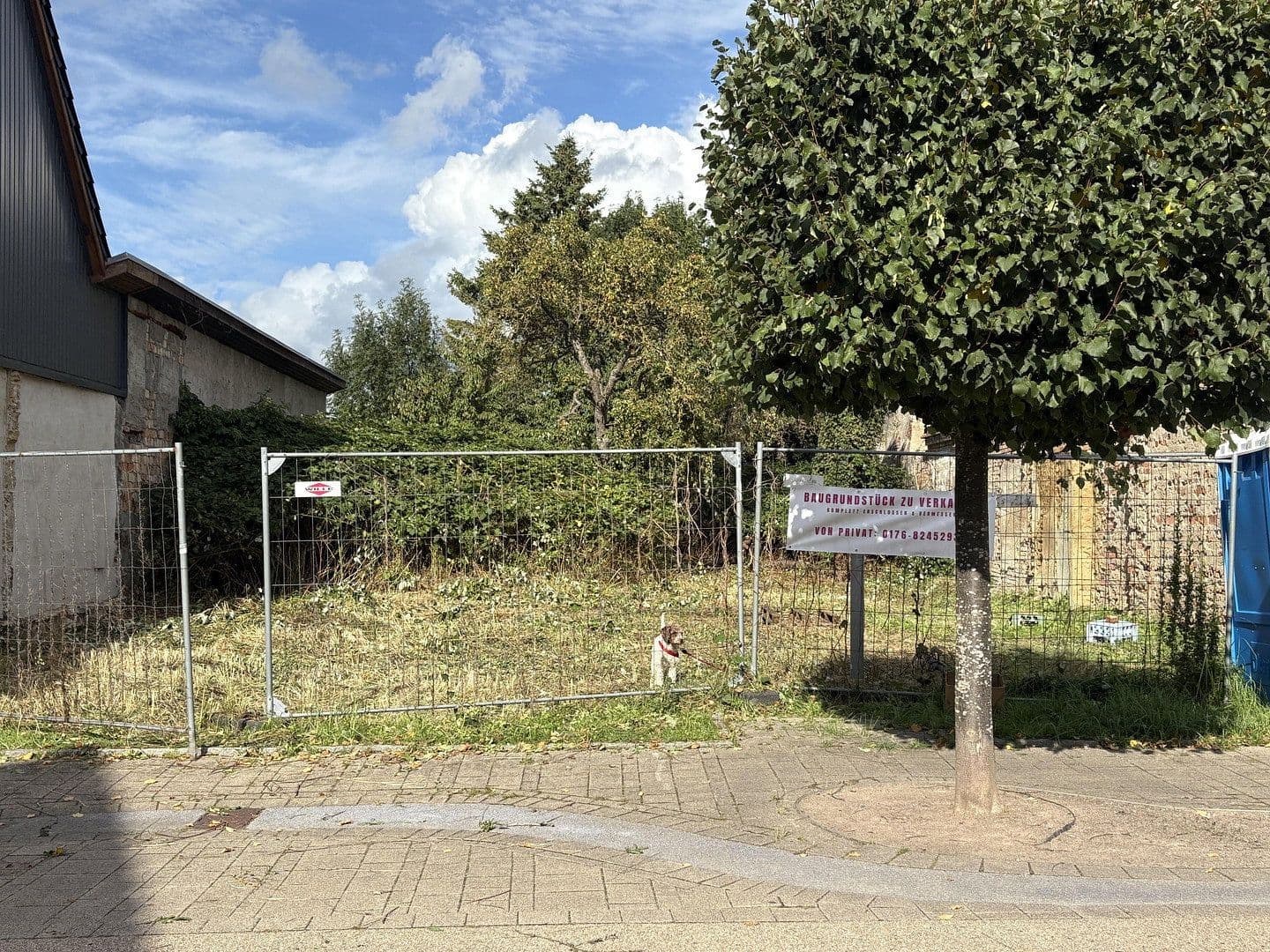 Predaj pozemku 529 m², Wilhelmstrasse 49, Wolgast, Meklenbursko-Predpomoransko Predaj pozemku 529 m², Wilhelmstrasse 49, Wolgast, Meklenbursko-Predpomoransko