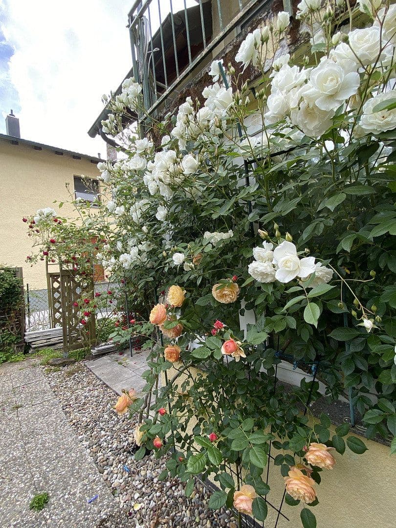 Predaj bytu 3-izbový 72 m², Emil-Kollmar-Straße 5, Pforzheim, Bádensko-Wurttembersko Predaj bytu 3-izbový 72 m², Emil-Kollmar-Straße 5, Pforzheim, Bádensko-Wurttembersko