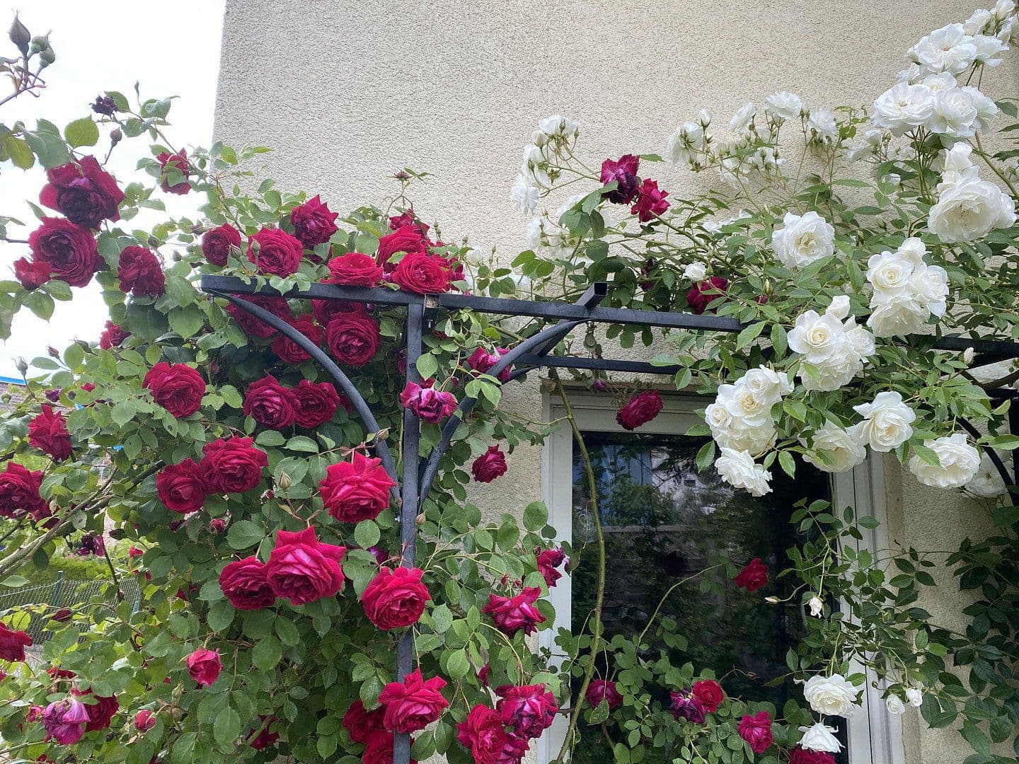 Predaj bytu 3-izbový 72 m², Emil-Kollmar-Straße 5, Pforzheim, Bádensko-Wurttembersko Predaj bytu 3-izbový 72 m², Emil-Kollmar-Straße 5, Pforzheim, Bádensko-Wurttembersko