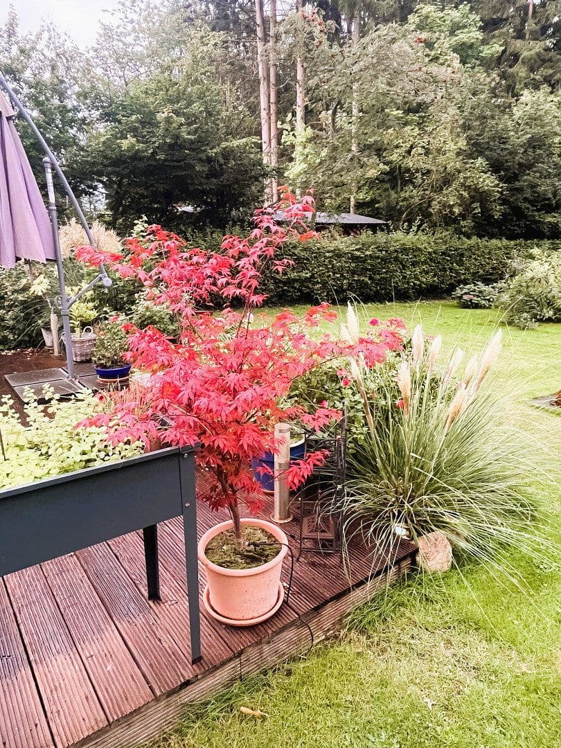 Predaj domu 140 m², pozemek 1.564 m², Hamfelde (Lauenburg), Šlezvicko-Holštajnsko Predaj domu 140 m², pozemek 1.564 m², Hamfelde (Lauenburg), Šlezvicko-Holštajnsko