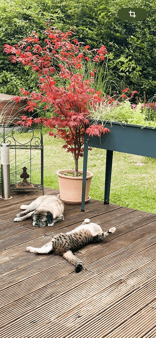 Predaj domu 140 m², pozemek 1.564 m², Hamfelde (Lauenburg), Šlezvicko-Holštajnsko Predaj domu 140 m², pozemek 1.564 m², Hamfelde (Lauenburg), Šlezvicko-Holštajnsko