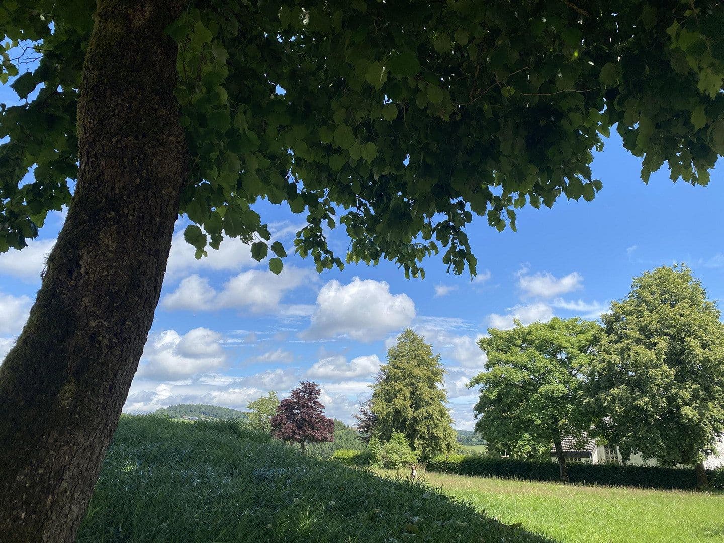 Prenájom bytu 2-izbový 73 m², Delleweg 21, Winterberg, Severné Porýnie - Westfálsko Prenájom bytu 2-izbový 73 m², Delleweg 21, Winterberg, Severné Porýnie - Westfálsko