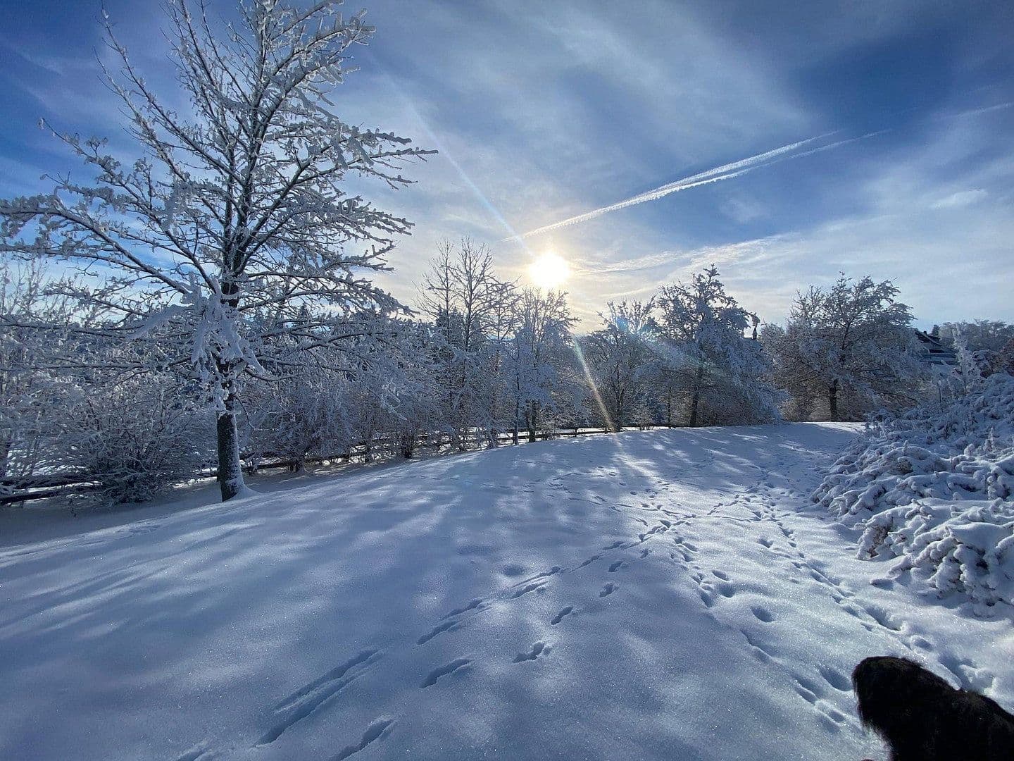 Prenájom bytu 2-izbový 73 m², Delleweg 21, Winterberg, Severné Porýnie - Westfálsko Prenájom bytu 2-izbový 73 m², Delleweg 21, Winterberg, Severné Porýnie - Westfálsko