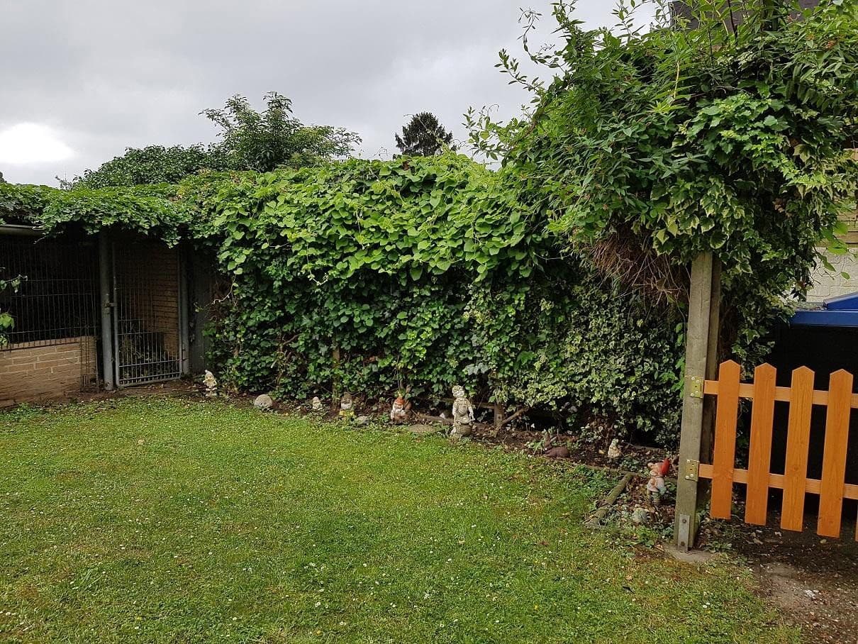 Prenájom bytu 4-izbový 100 m², Gartsträucherstr.113, Duisburg, Severné Porýnie - Westfálsko Prenájom bytu 4-izbový 100 m², Gartsträucherstr.113, Duisburg, Severné Porýnie - Westfálsko