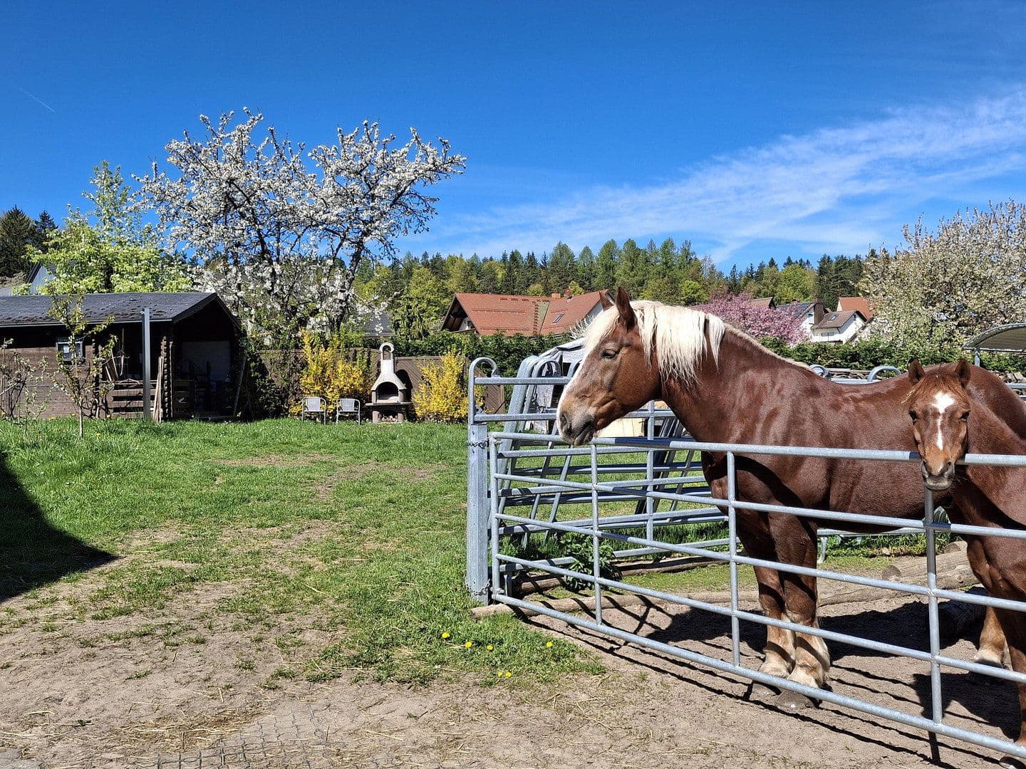 Prenájom bytu 5-izbový 130 m², Geschwand 76, Obertrubach, Bavorsko Prenájom bytu 5-izbový 130 m², Geschwand 76, Obertrubach, Bavorsko