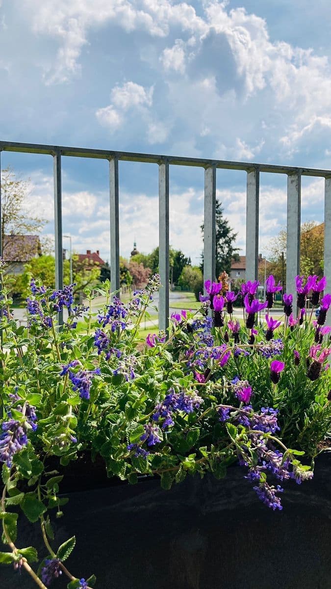 Predaj bytu 2-izbový 68 m², U Parketárny, Unhošť, Středočeský kraj Predaj bytu 2-izbový 68 m², U Parketárny, Unhošť, Středočeský kraj