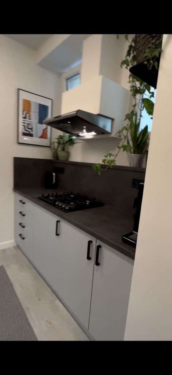 Prenájom bytu 2-izbový 60 m², Dělnická, Praha, Praha Prenájom bytu 2-izbový 60 m², Dělnická, Praha, Praha