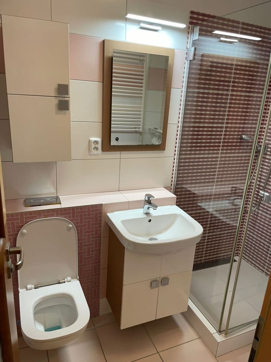 Prenájom bytu 1-izbový 31 m², Pod Děvínem, Praha, Praha Prenájom bytu 1-izbový 31 m², Pod Děvínem, Praha, Praha