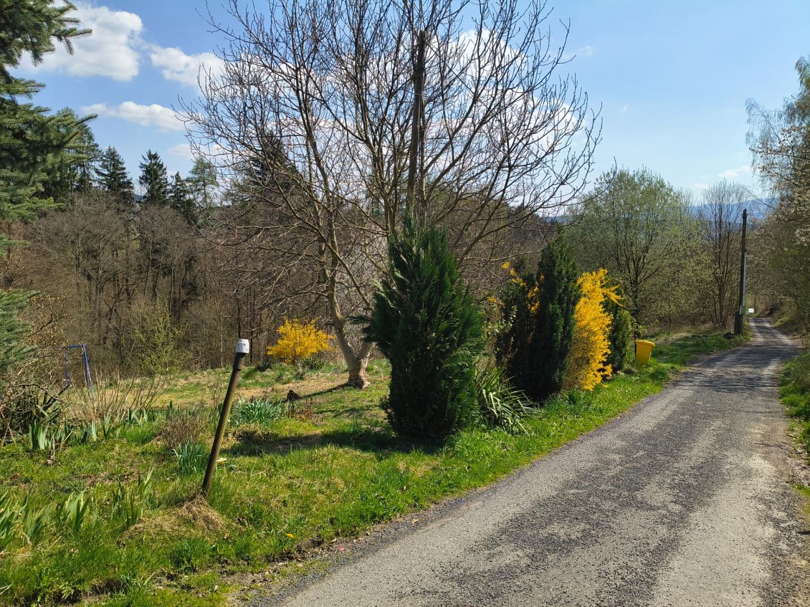 Predaj pozemku 3.722 m², Nová Ves, Liberecký kraj Predaj pozemku 3.722 m², Nová Ves, Liberecký kraj