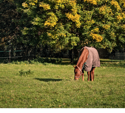 Prenájom domu 180 m², pozemek 285 m², Gutshof 5, Erkerode, Dolné Sasko Prenájom domu 180 m², pozemek 285 m², Gutshof 5, Erkerode, Dolné Sasko
