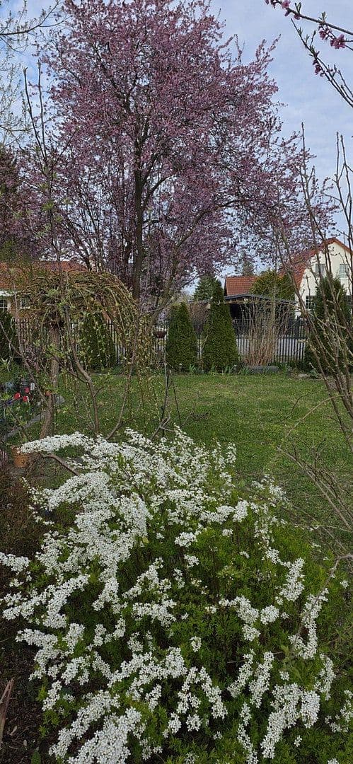 Predaj domu 134 m², pozemek 487 m², Falkensee, Brandenbursko Predaj domu 134 m², pozemek 487 m², Falkensee, Brandenbursko