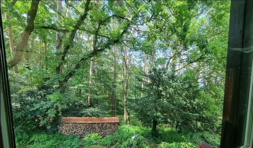 Predaj domu 681 m², pozemek 1.681 m², Röthenbach an der Pegnitz, Bavorsko Predaj domu 681 m², pozemek 1.681 m², Röthenbach an der Pegnitz, Bavorsko