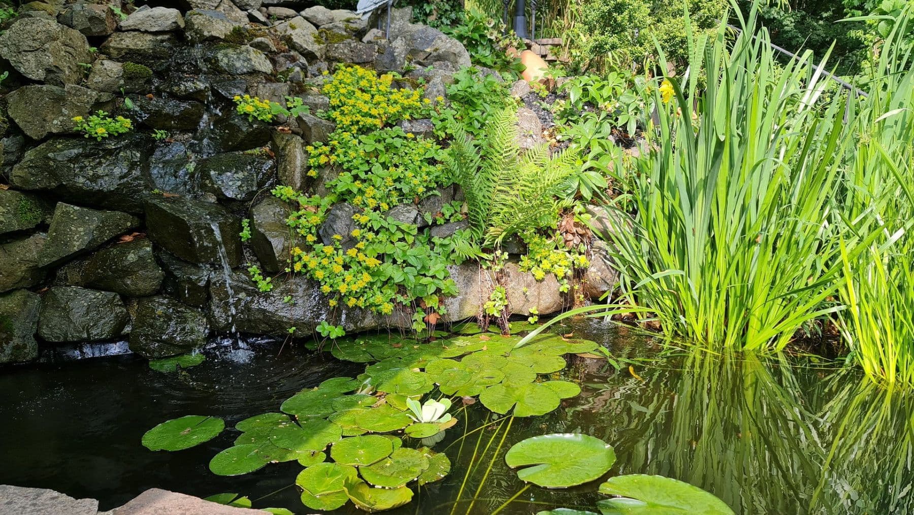 Predaj domu 206 m², pozemek 1.227 m², Westerburg, Porýnie-Falcko Predaj domu 206 m², pozemek 1.227 m², Westerburg, Porýnie-Falcko