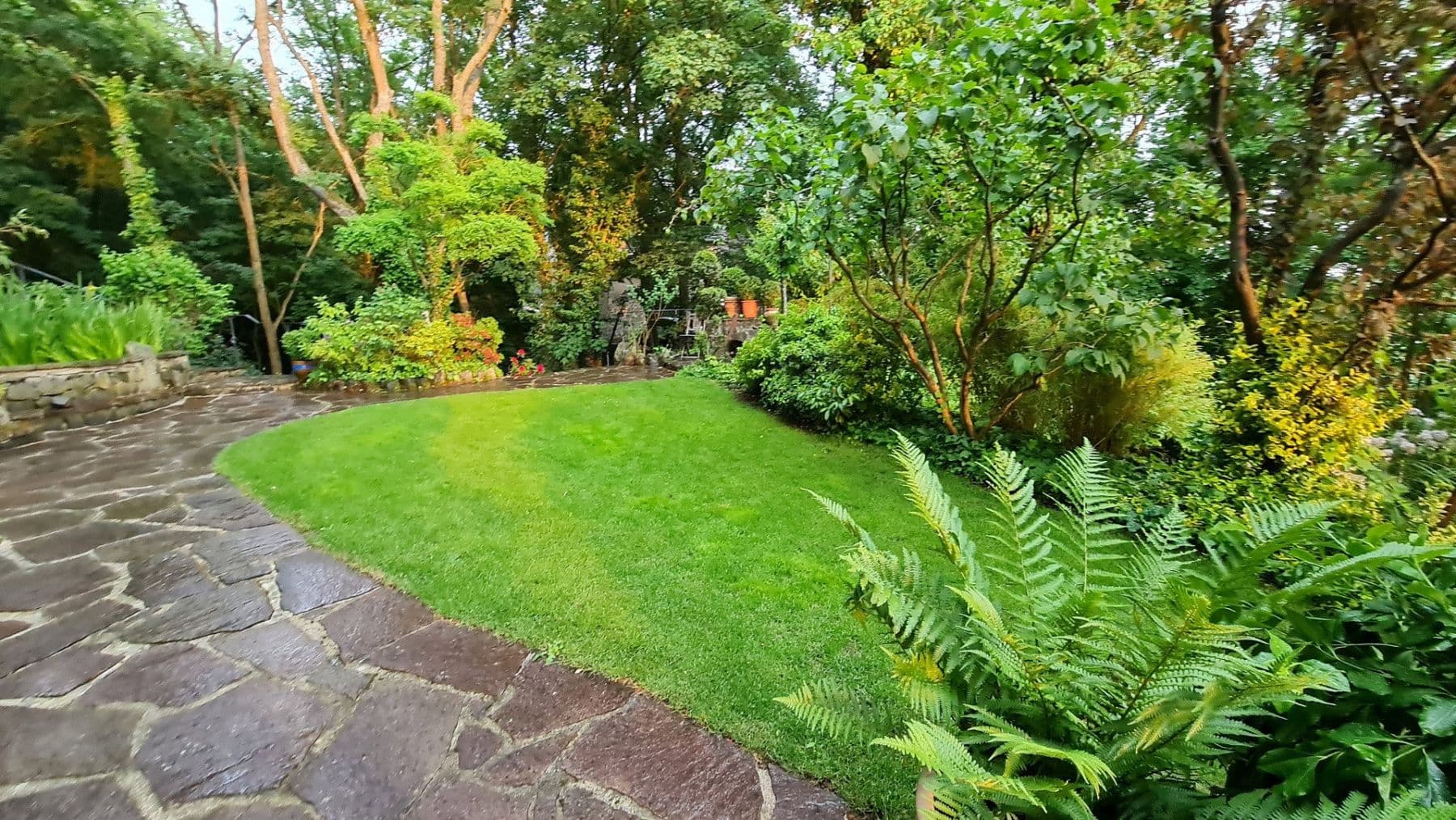 Predaj domu 206 m², pozemek 1.227 m², Westerburg, Porýnie-Falcko Predaj domu 206 m², pozemek 1.227 m², Westerburg, Porýnie-Falcko