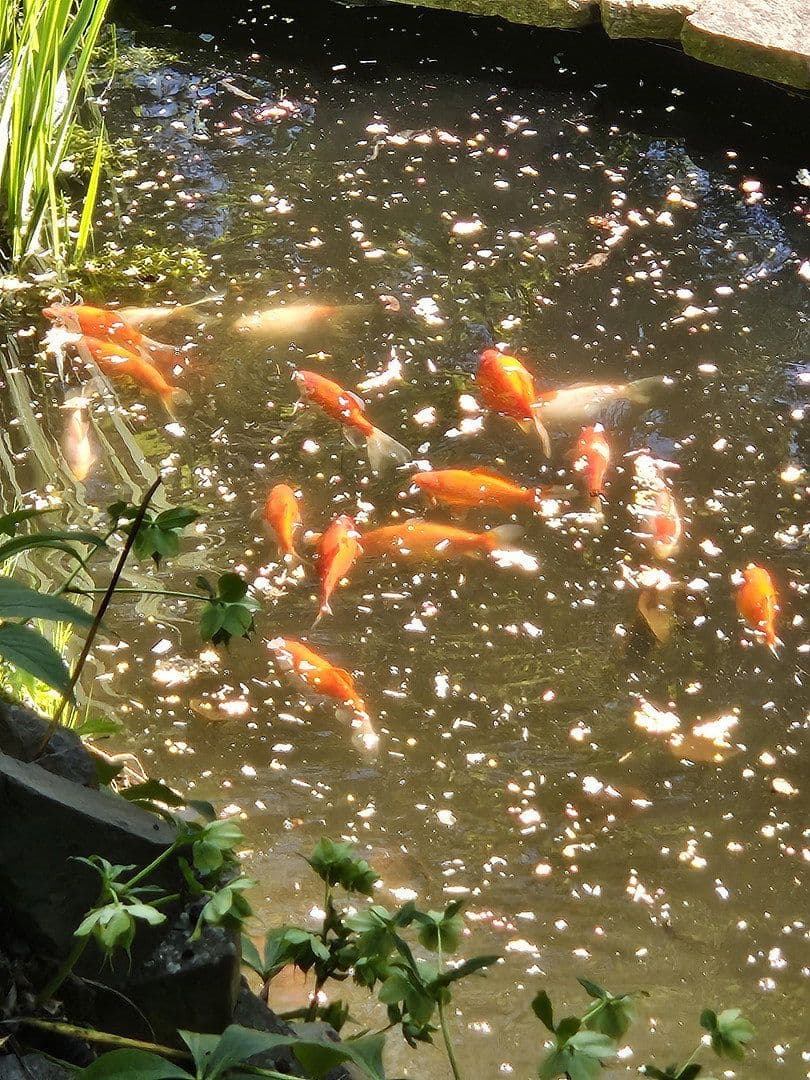 Predaj domu 206 m², pozemek 1.227 m², Westerburg, Porýnie-Falcko Predaj domu 206 m², pozemek 1.227 m², Westerburg, Porýnie-Falcko