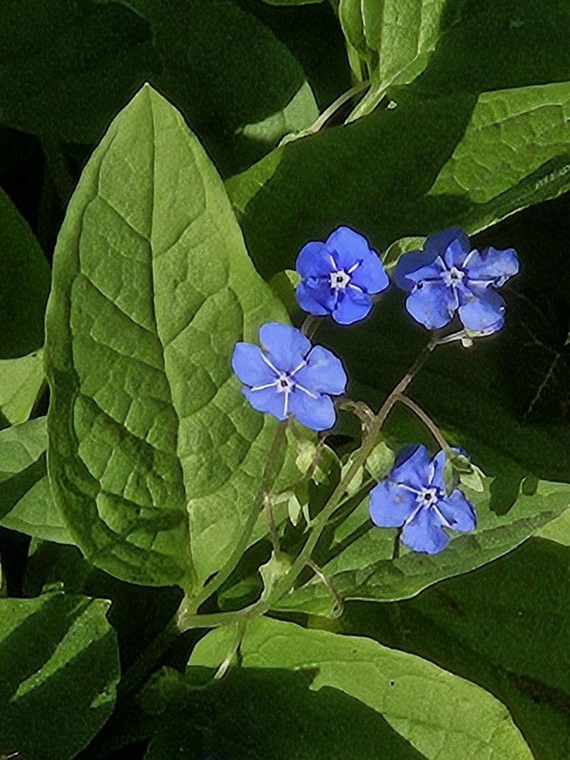 Predaj domu 206 m², pozemek 1.227 m², Westerburg, Porýnie-Falcko Predaj domu 206 m², pozemek 1.227 m², Westerburg, Porýnie-Falcko