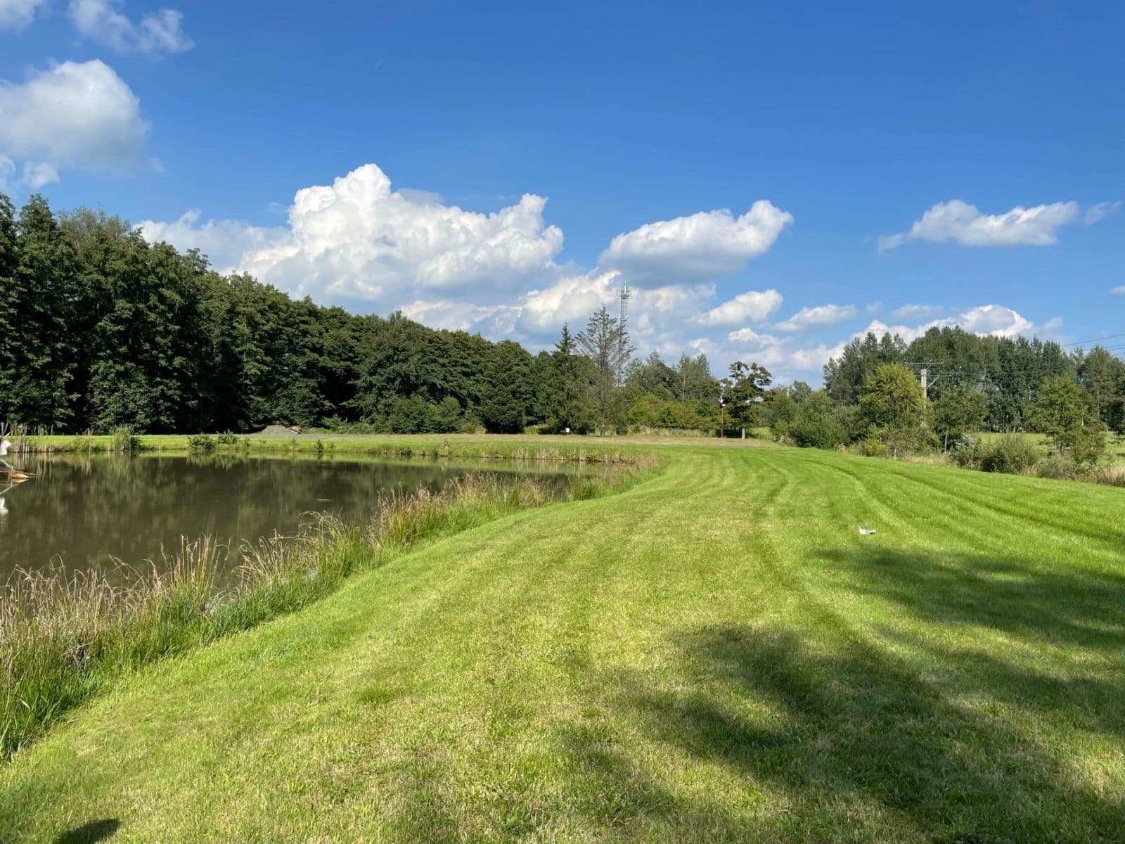 Predaj pozemku 9.437 m², Hory, Karlovarský kraj Predaj pozemku 9.437 m², Hory, Karlovarský kraj