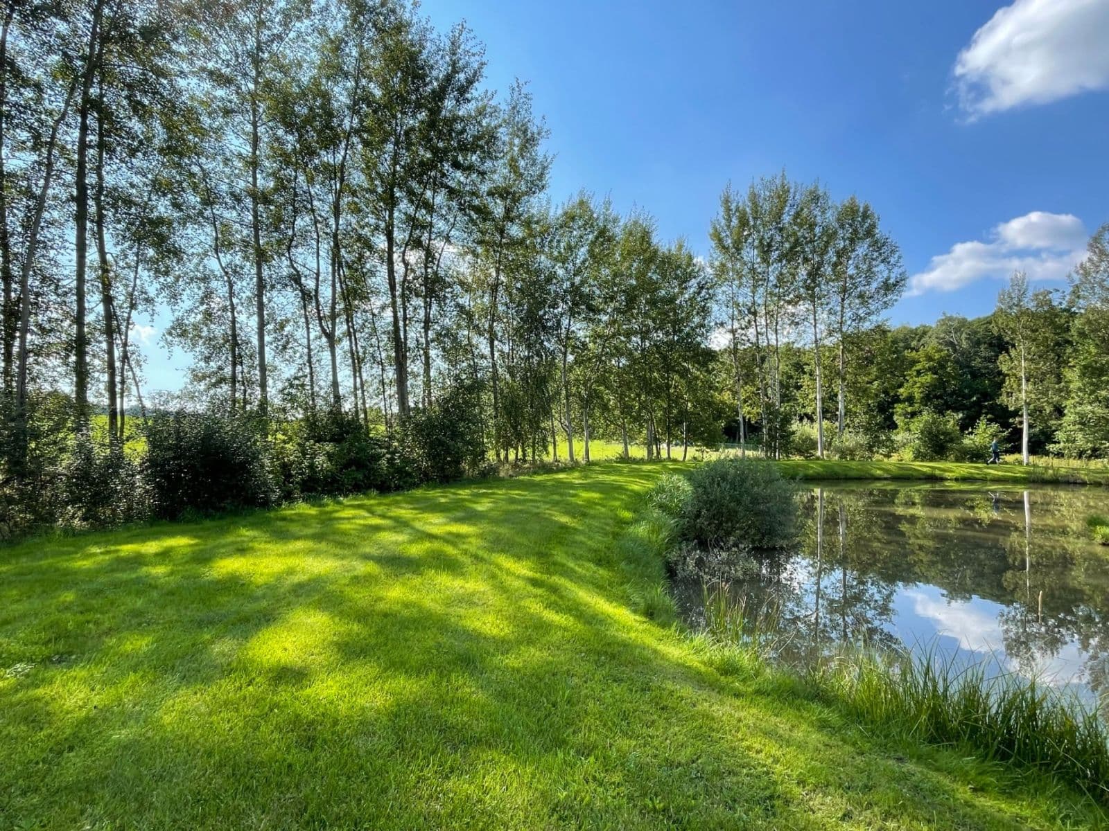 Predaj pozemku 9.437 m², Hory, Karlovarský kraj Predaj pozemku 9.437 m², Hory, Karlovarský kraj