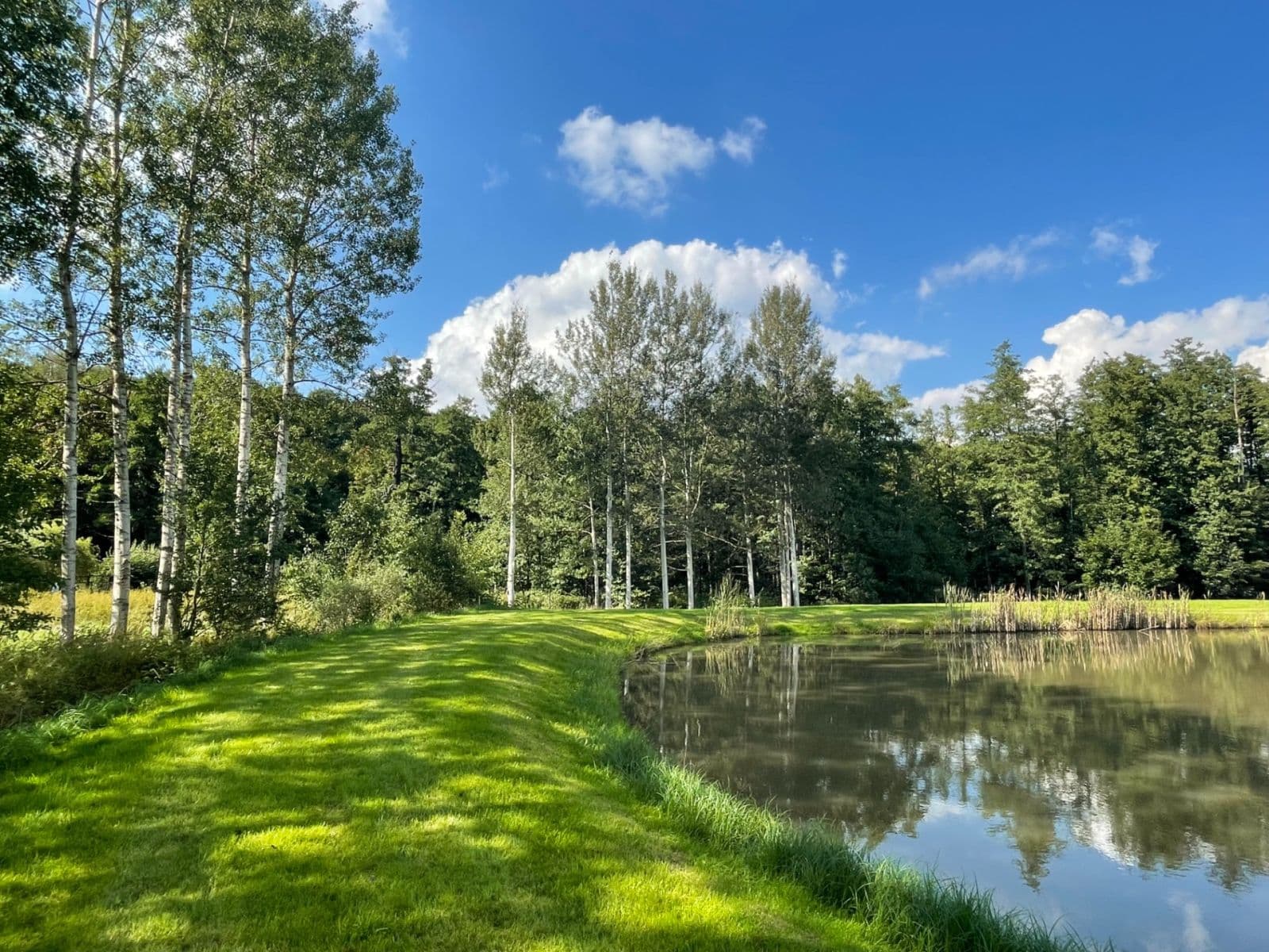 Predaj pozemku 9.437 m², Hory, Karlovarský kraj Predaj pozemku 9.437 m², Hory, Karlovarský kraj