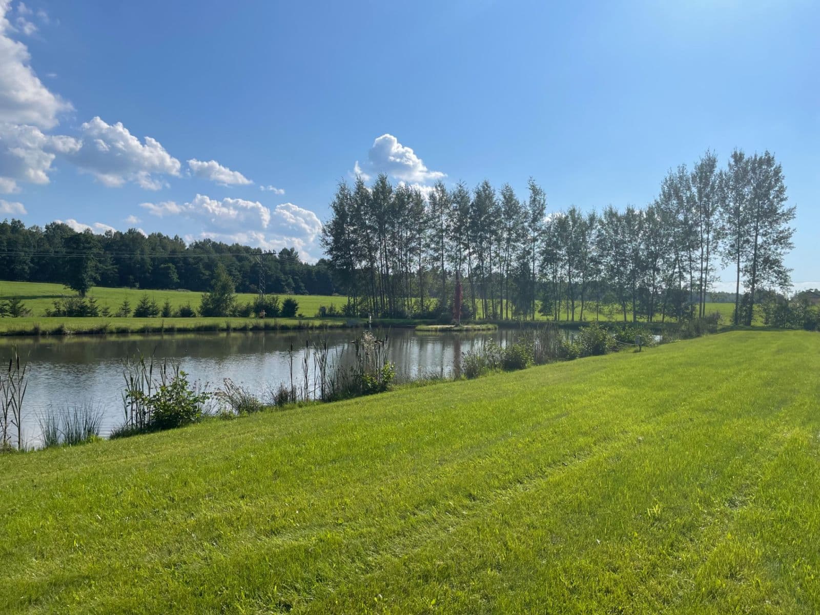 Predaj pozemku 9.437 m², Hory, Karlovarský kraj Predaj pozemku 9.437 m², Hory, Karlovarský kraj