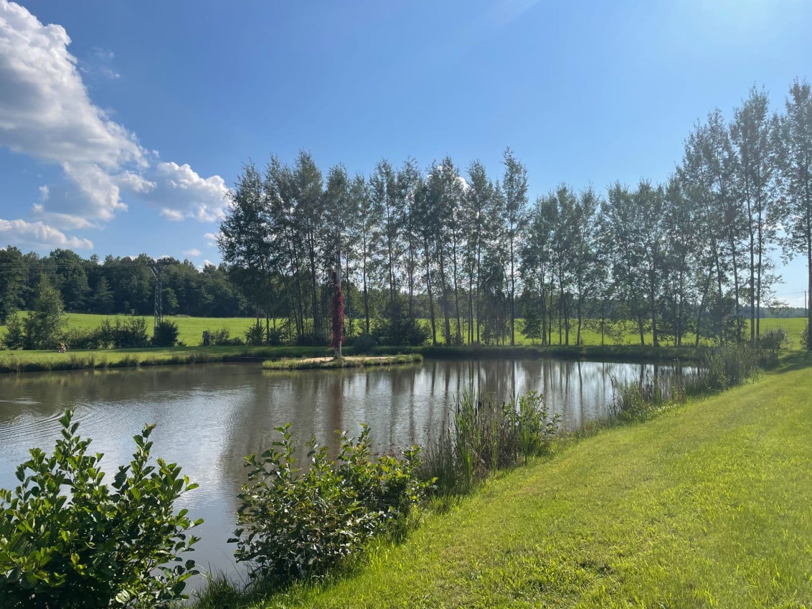Predaj pozemku 9.437 m², Hory, Karlovarský kraj Predaj pozemku 9.437 m², Hory, Karlovarský kraj