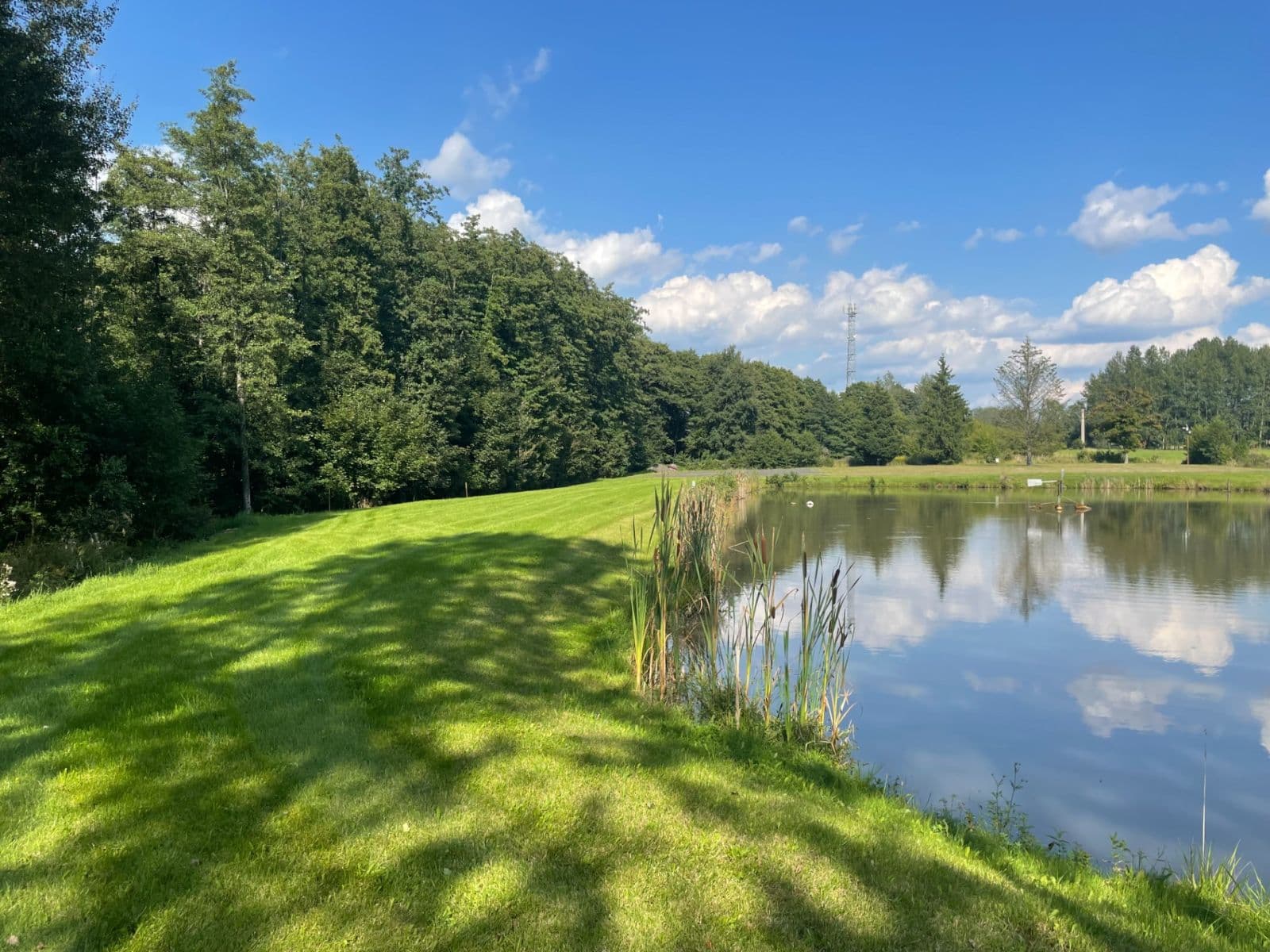 Predaj pozemku 9.437 m², Hory, Karlovarský kraj Predaj pozemku 9.437 m², Hory, Karlovarský kraj