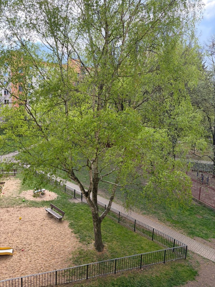 Prenájom bytu 2-izbový 52 m², Maříkova, Praha, Praha Prenájom bytu 2-izbový 52 m², Maříkova, Praha, Praha