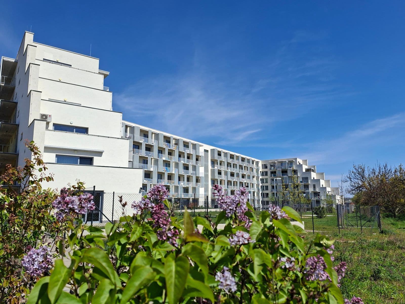 Prenájom bytu 1-izbový 42 m², Řepova, Brno, Jihomoravský kraj Prenájom bytu 1-izbový 42 m², Řepova, Brno, Jihomoravský kraj