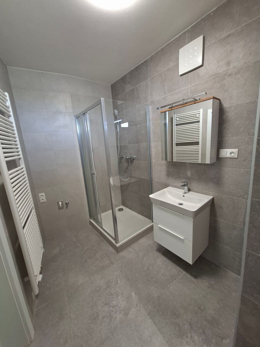 Prenájom bytu 1-izbový 42 m², Řepova, Brno, Jihomoravský kraj Prenájom bytu 1-izbový 42 m², Řepova, Brno, Jihomoravský kraj