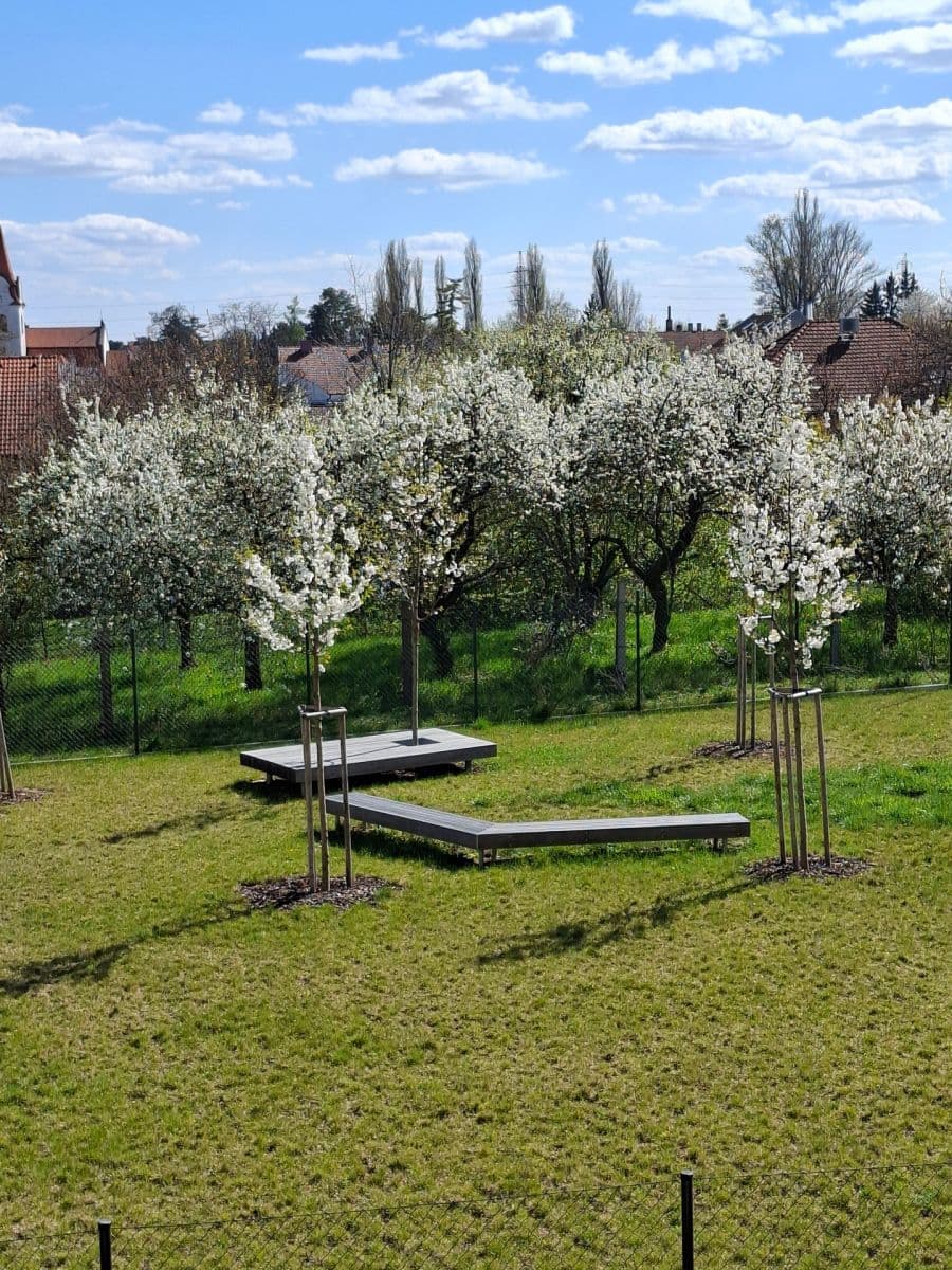 Prenájom bytu 1-izbový 42 m², Řepova, Brno, Jihomoravský kraj Prenájom bytu 1-izbový 42 m², Řepova, Brno, Jihomoravský kraj