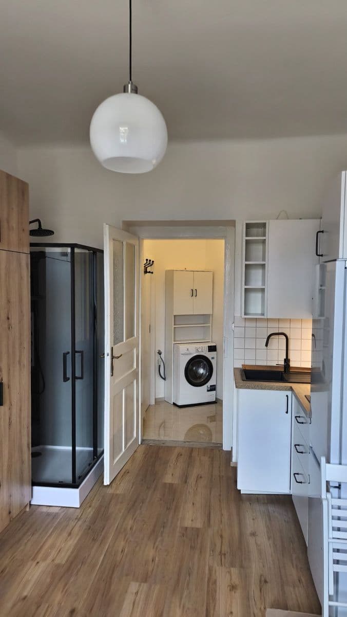 Prenájom bytu 1-izbový 18 m², Závěrka, Praha, Praha Prenájom bytu 1-izbový 18 m², Závěrka, Praha, Praha