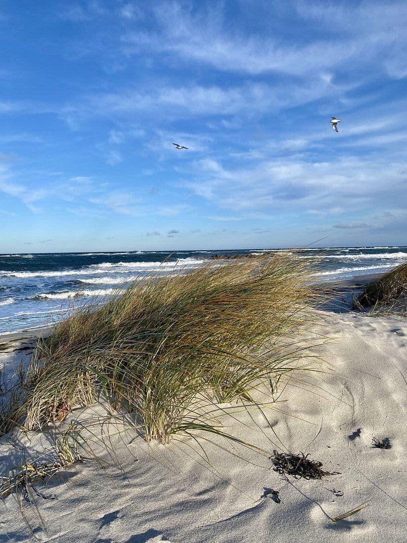 Predaj bytu 1-izbový 28 m², Palstek 2, Wendtorf, Šlezvicko-Holštajnsko Predaj bytu 1-izbový 28 m², Palstek 2, Wendtorf, Šlezvicko-Holštajnsko