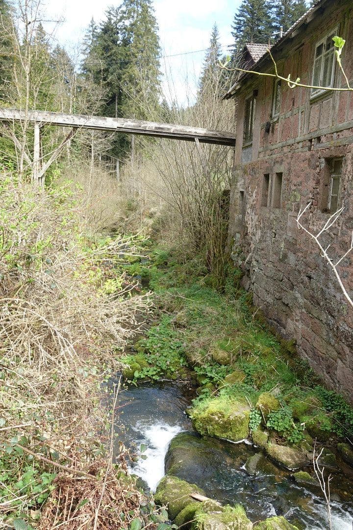 Predaj domu 200 m², pozemek 20.000 m², Alpirsbach, Bádensko-Wurttembersko Predaj domu 200 m², pozemek 20.000 m², Alpirsbach, Bádensko-Wurttembersko